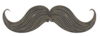 Stachetober